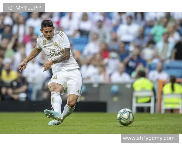 当今世界足球明星的数量与影响力分析